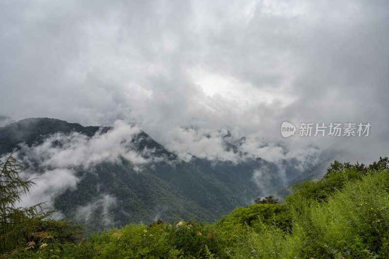 四川四姑娘山双桥沟自然风景