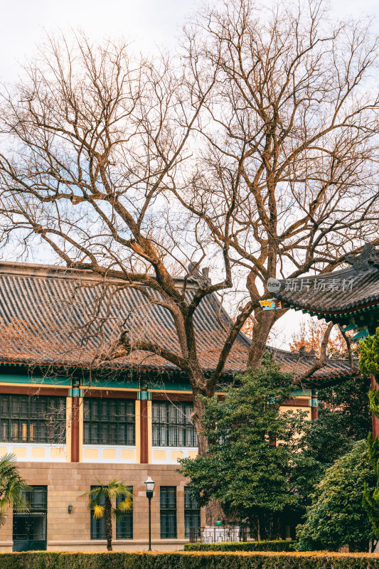 南京师范大学校园