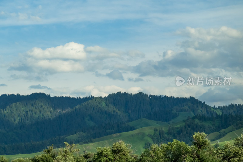 新疆伊犁，那拉提草原风光