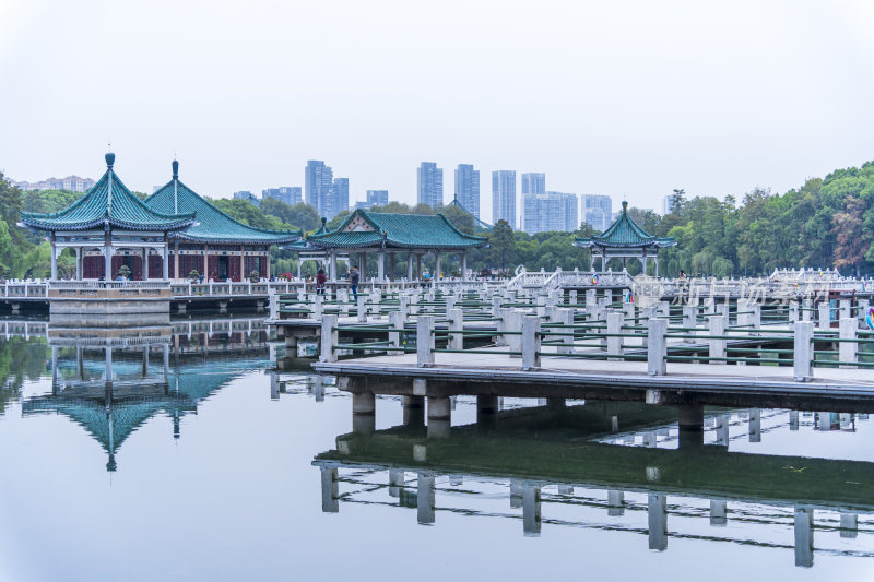 武汉东湖国家湿地公园碧潭观鱼