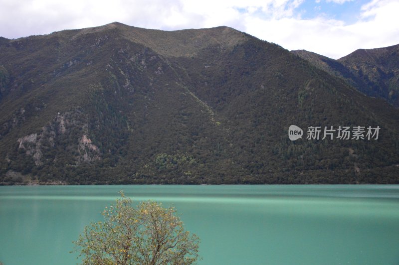 西藏巴松措景区风景