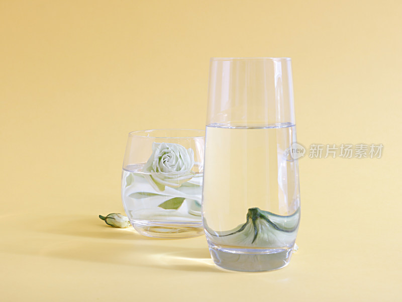 透过玻璃杯中的水折射下的鲜花洋桔梗