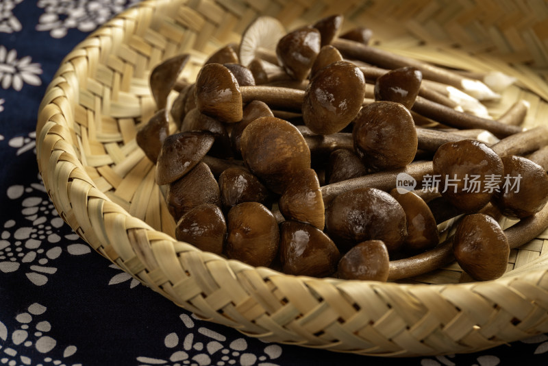 鸡枞菌蘑菇菌类新鲜食材美食特写