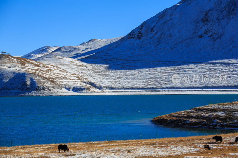 中国西藏羊卓雍措湖羊湖冬季雪景