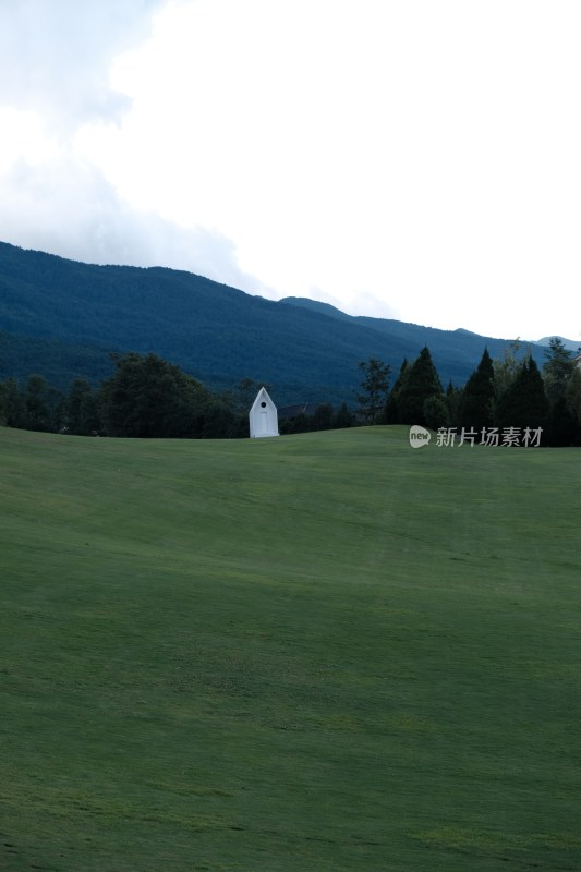 开阔草地中独特白色雕塑景观