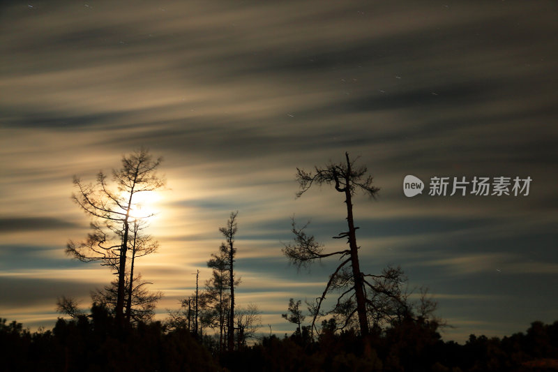 大兴安岭森林月光夜云飘渺