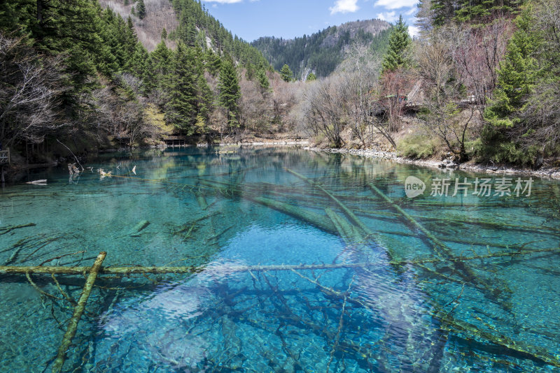 九寨沟五花海色彩斑斓的水