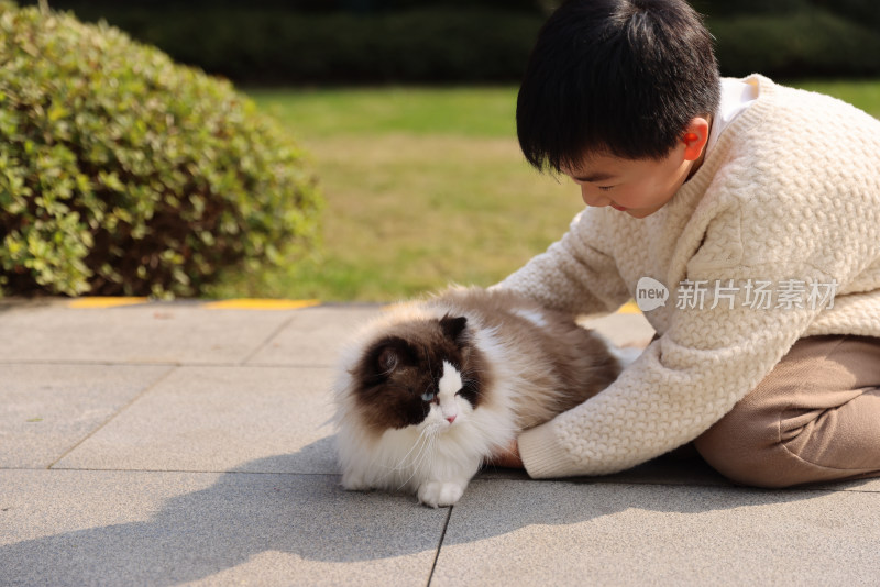 一个小男孩与宠物猫互动的温馨场景