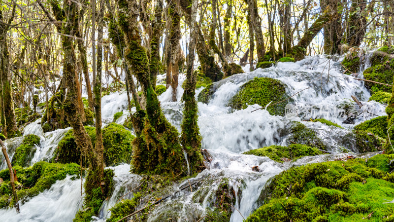 四川阿坝九寨沟流动的水