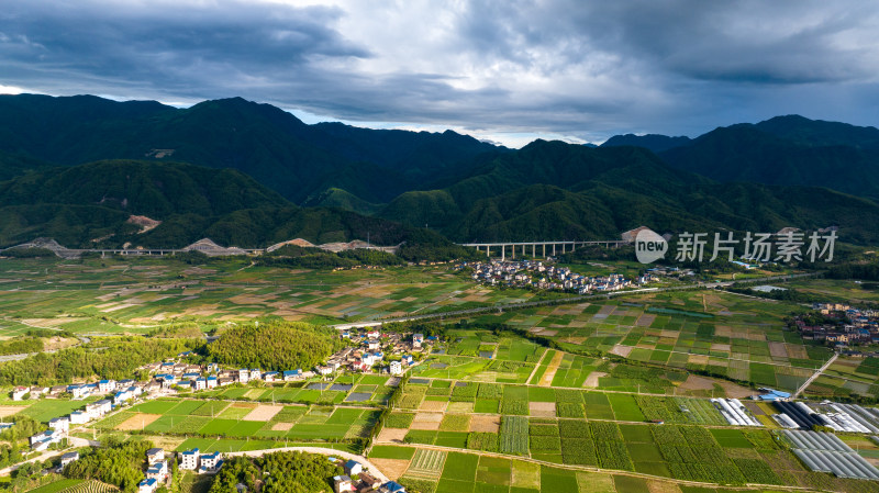 航拍乡村绿色稻田