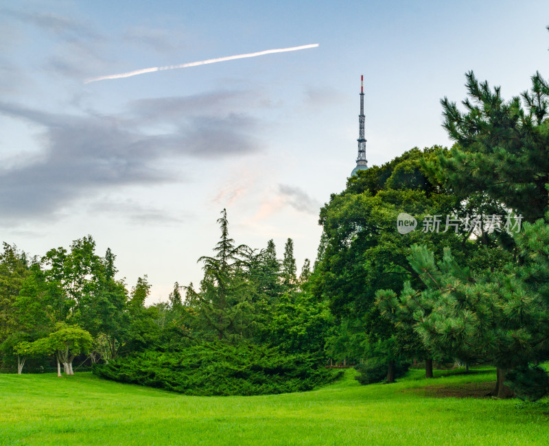 青岛中山公园，夏天的青草绿树