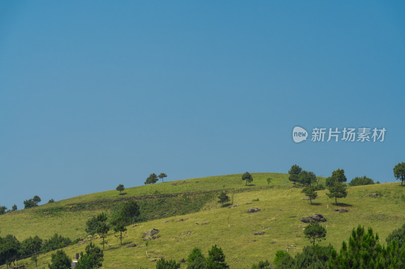 高山草甸蓝天户外风光