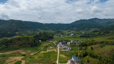 航拍武夷山绿色农田与茶园