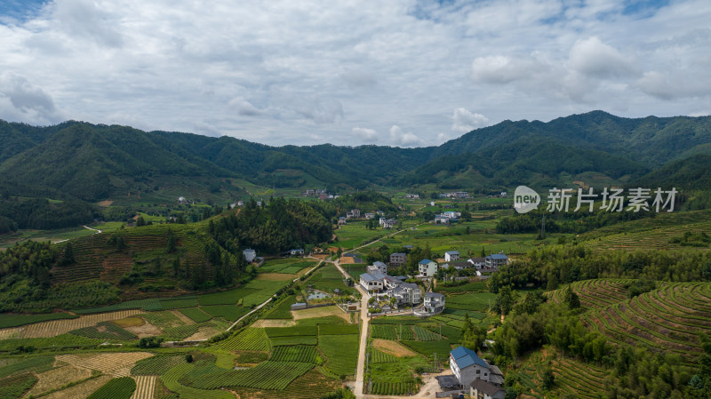 航拍武夷山绿色农田与茶园