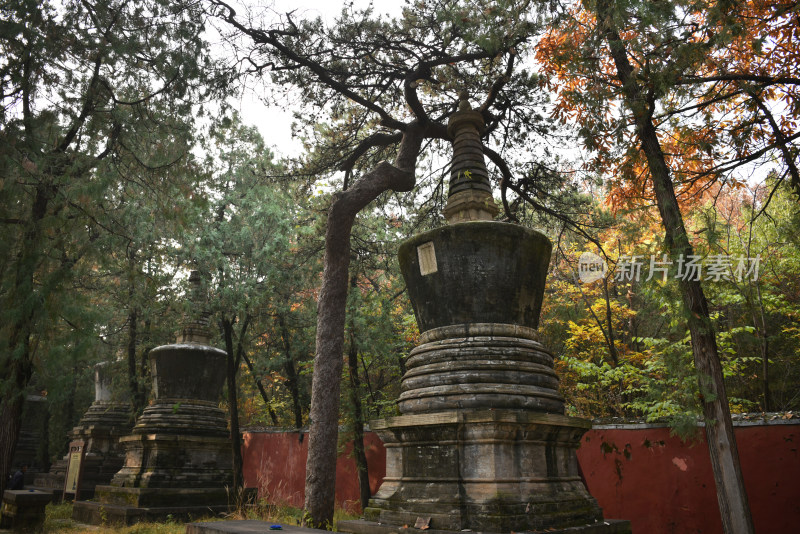 古刹塔林秋色 北京潭柘寺塔林