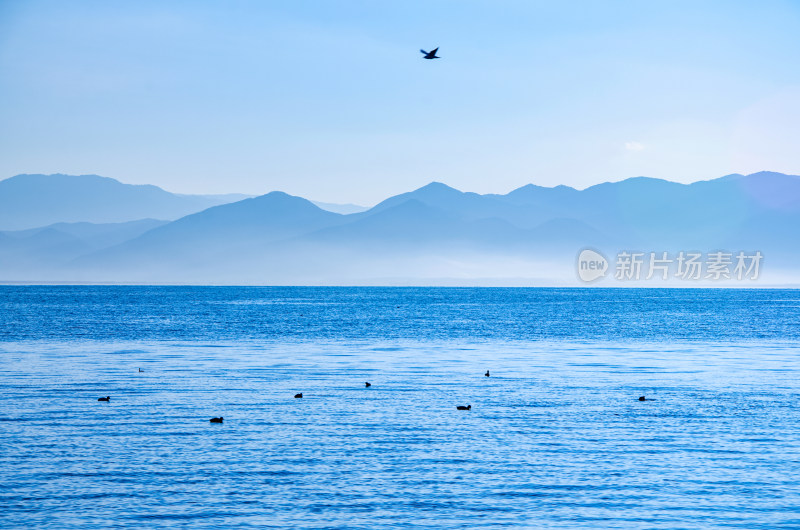 云南丽江泸沽湖山湖晨雾自然风光