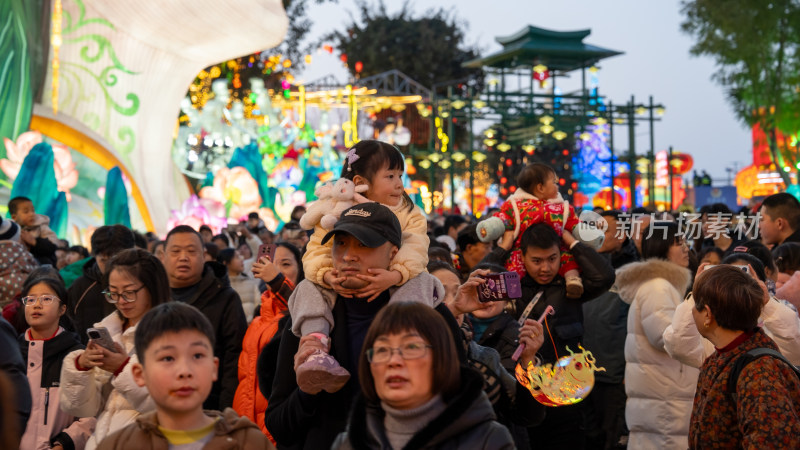 第三十一届自贡国际恐龙灯会