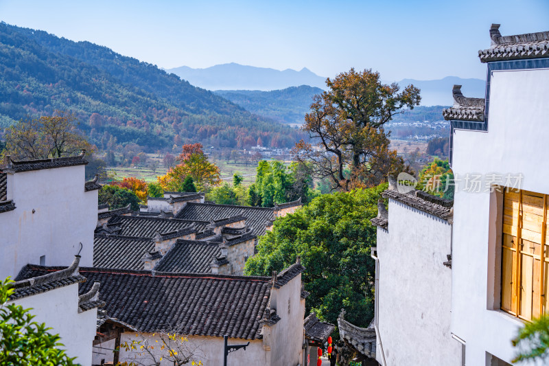 皖南秋色塔川国家森林公园