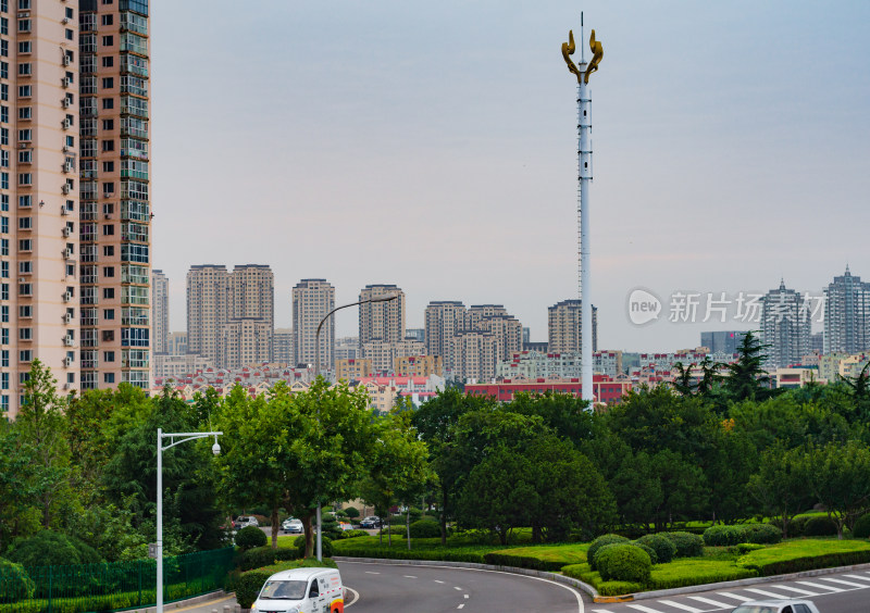 青岛城市风光，树木葱茏