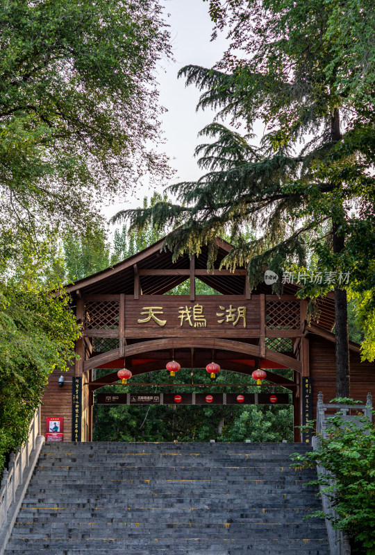 河南三门峡陕州公园天鹅湖景点景观