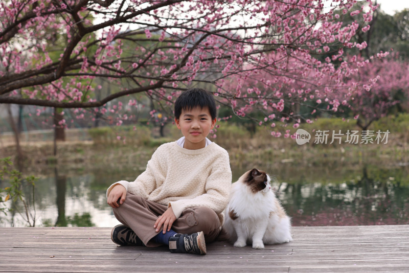 小男孩与宠物猫在梅花树下互动的温馨场景