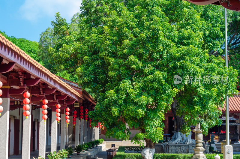 福建泉州承天寺的长廊