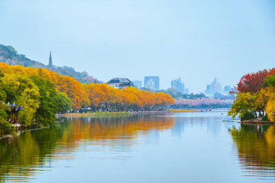 浙江杭州西湖风景名胜区秋景