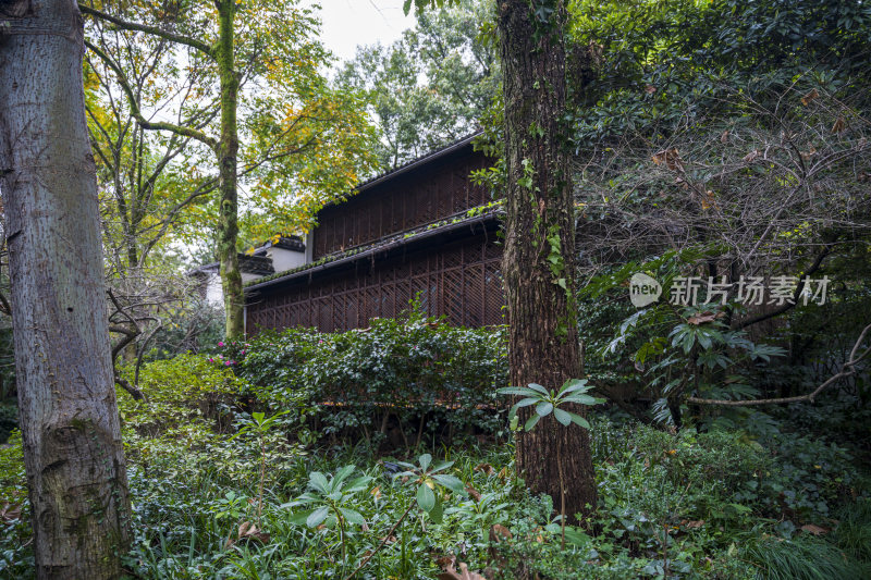 杭州三台山浙商总会风景