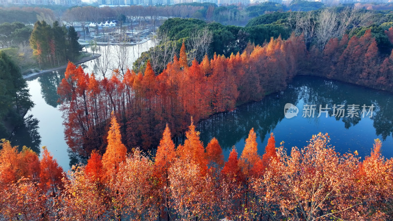 湖边红叶树木环绕的秋景