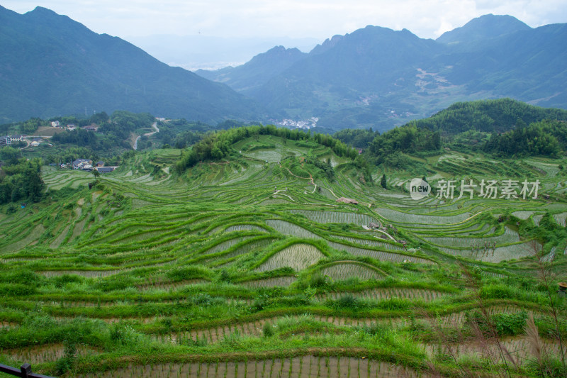 云和梯田风光