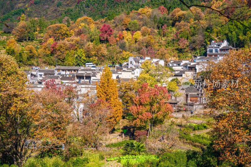 皖南秋色塔川国家森林公园