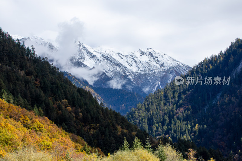 九寨沟秋色，云雾缭绕的雪山秋景