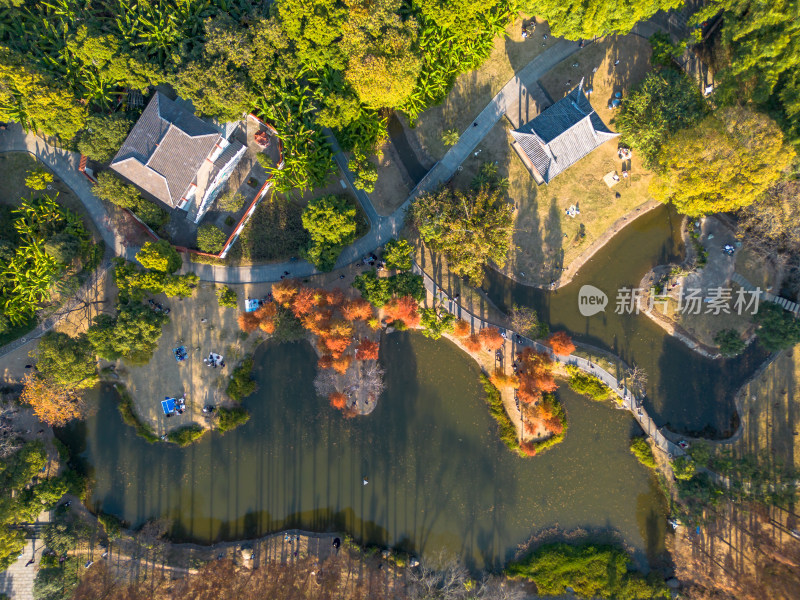 福州城市中色彩斑斓的树林全景