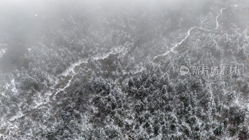 重庆酉阳：大雪纷飞赏雪忙