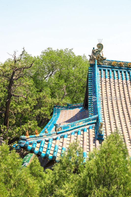 山西太原晋祠公园