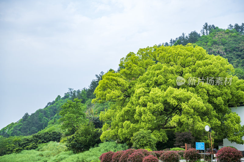 安徽新安江十里画廊风景