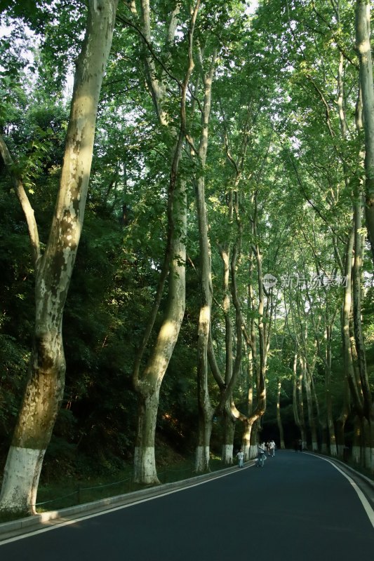 延伸的道路