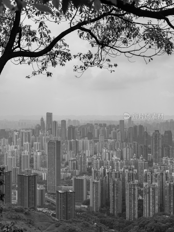 重庆宣传片城市全景