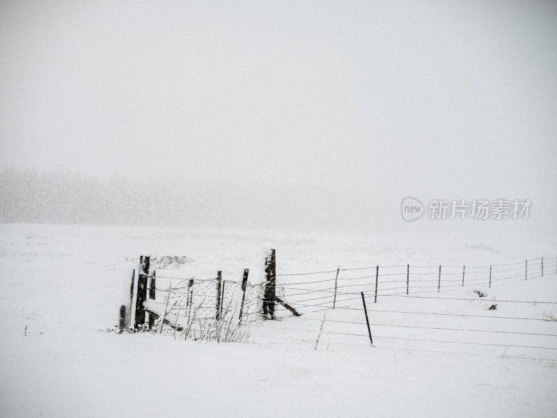 蒂卡波湖农场雪景