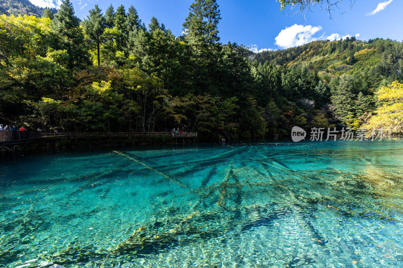 九寨沟五花海