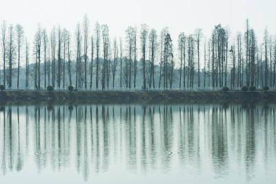 平静湖水倒映岸边树木的自然景观