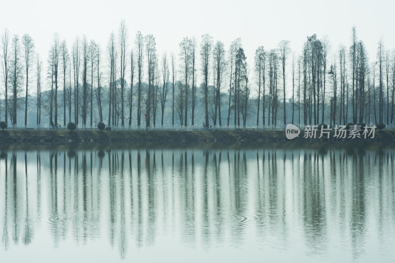 平静湖水倒映岸边树木的自然景观