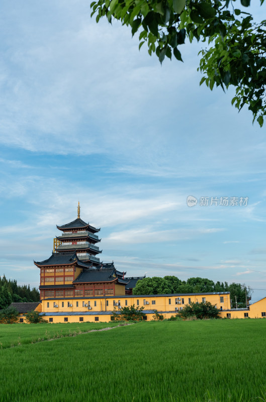 上海青浦天光禅寺