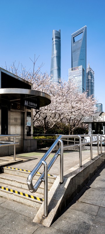 上海城市风光与地铁站口樱花