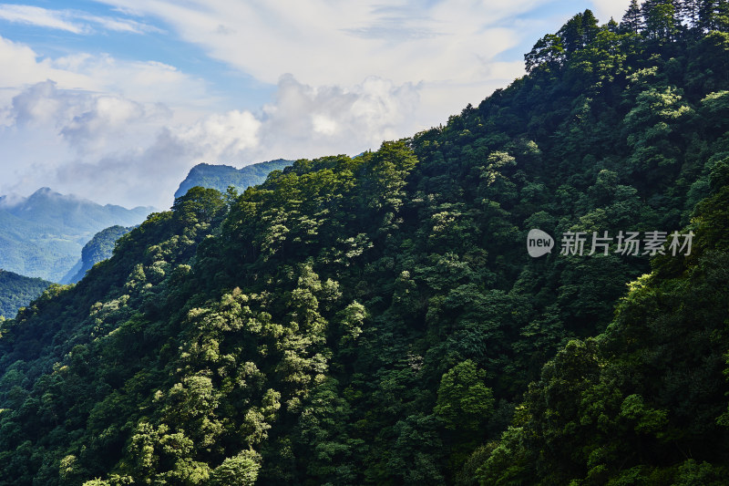 云雾缭绕的金佛山