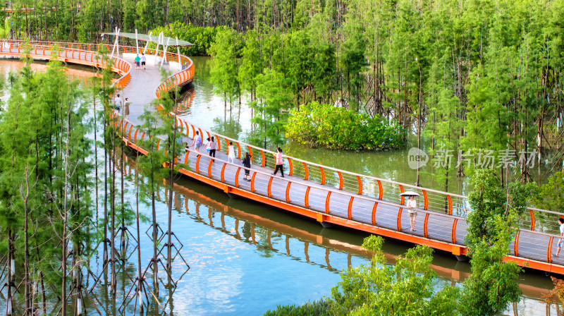 武汉江滩夏季湿地公园水上栈道