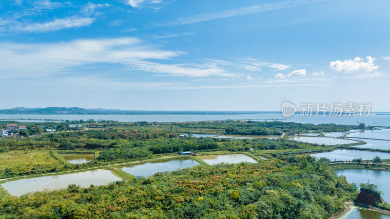 湖北省武汉市江夏区鲁湖