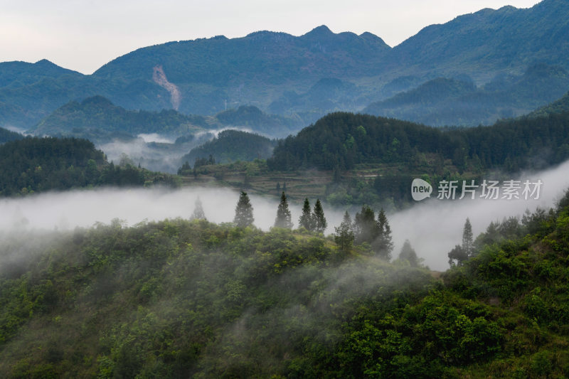 重庆酉阳：雾霾天气青山绿