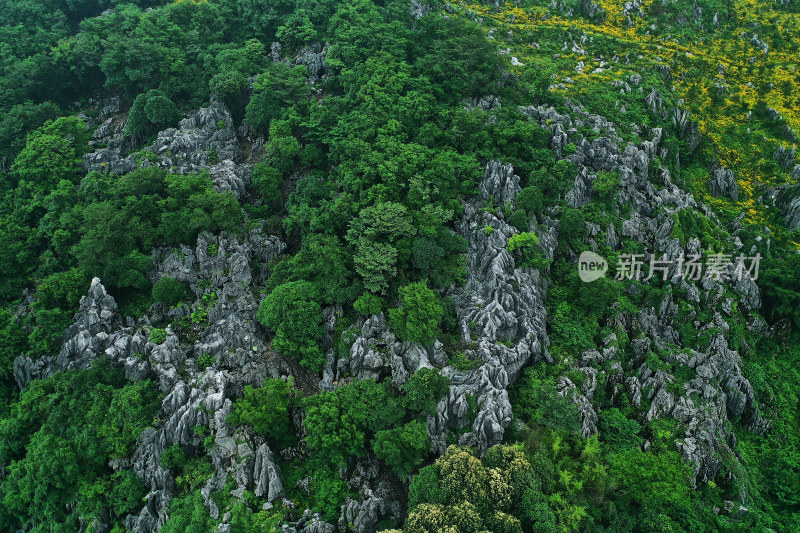 江西景德镇怪石林