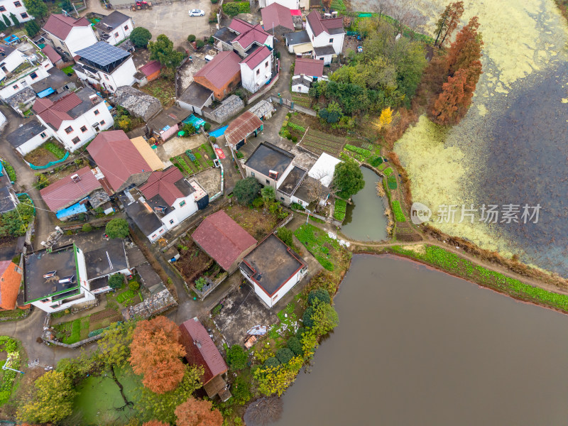 农村田园秋季风景